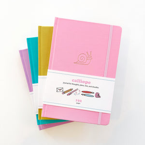 Image of four journals in pink, chartreuse, teal and lilac. 