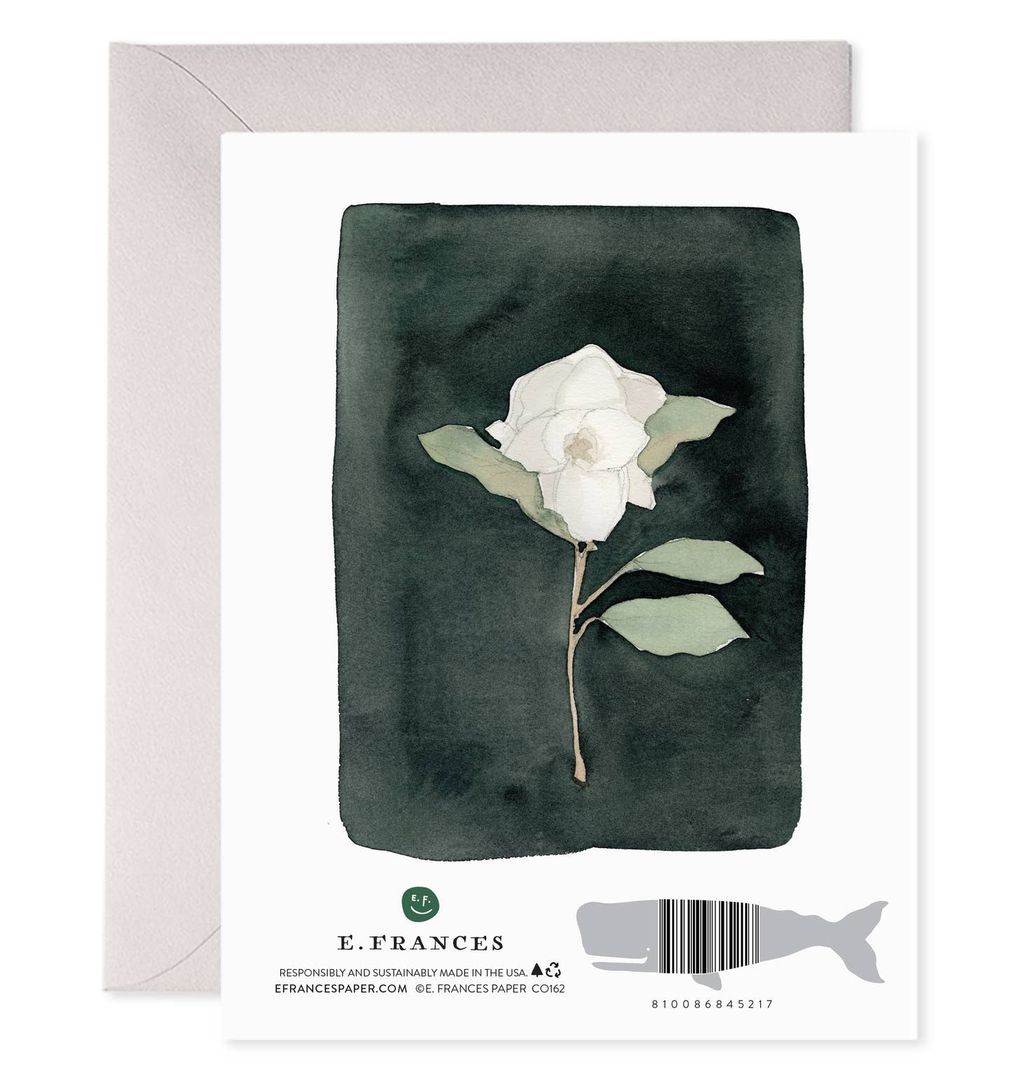 White border with black background and image of white flower with pale green leaves. Grey envelope is included. 