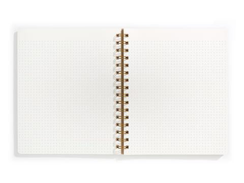 mage of opened notebook with ivory background and light blue graph. 