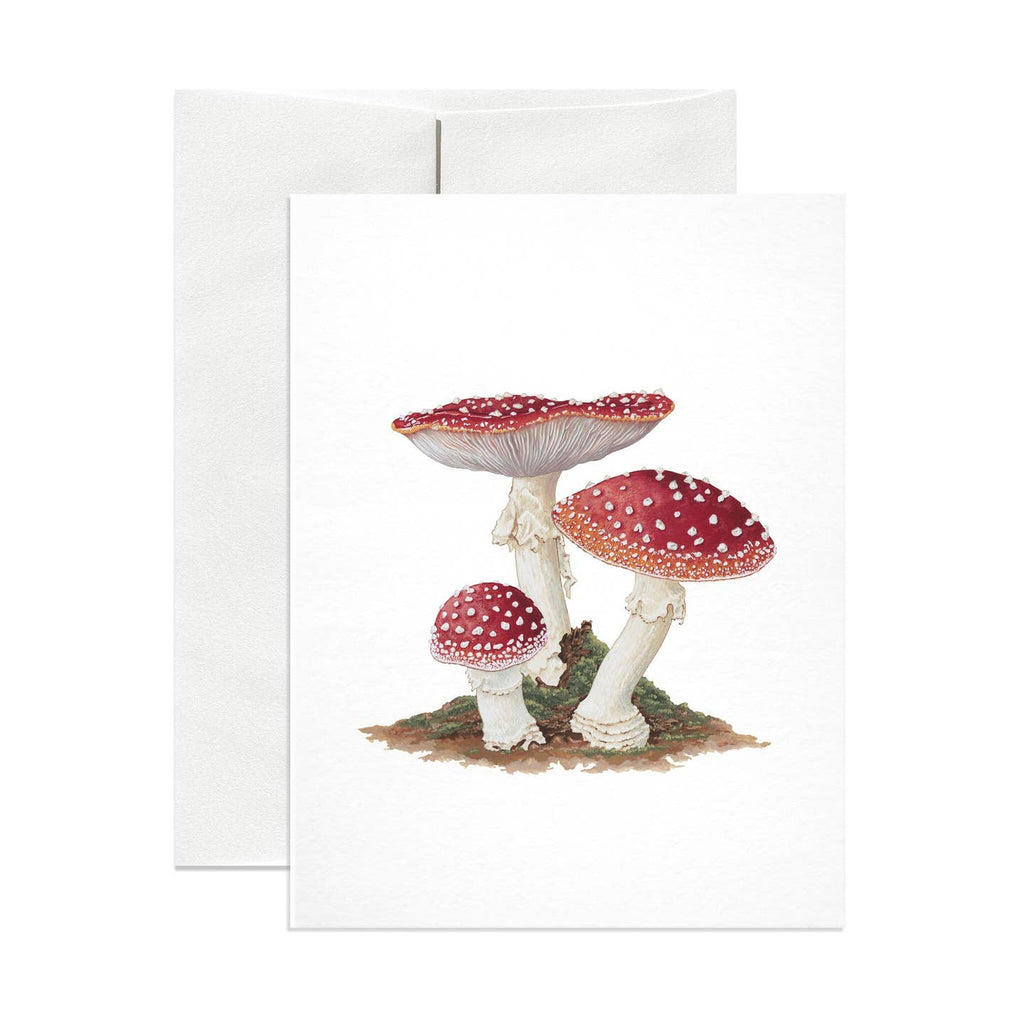 Greeting card with white background and images of three mushrooms in cream and red. Envelope included. 