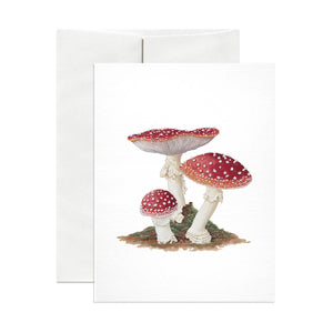 Greeting card with white background and images of three mushrooms in cream and red. Envelope included. 