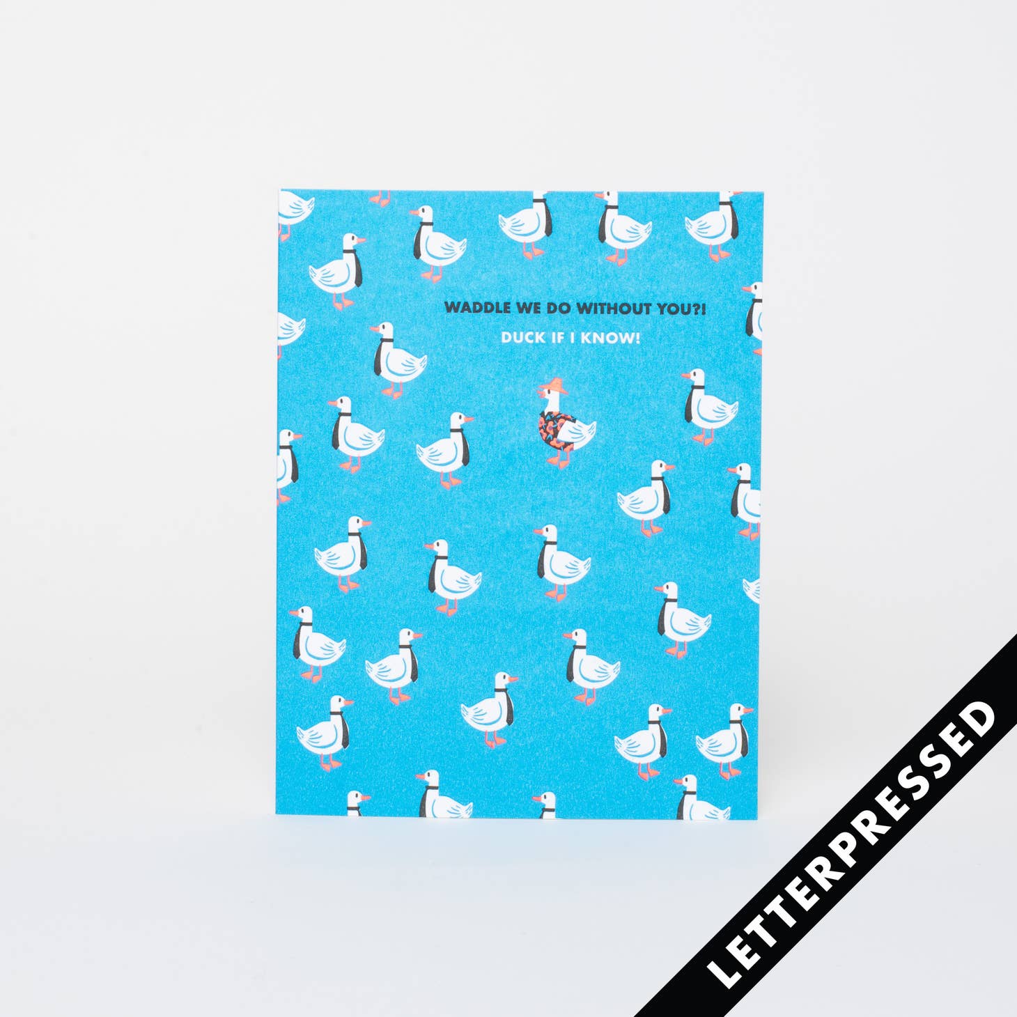 Blue background with images of white ducks in a tie and black text says, "Waddle we do without you?!" and white text says, "Duck if I know". Kraft envelope is included. 