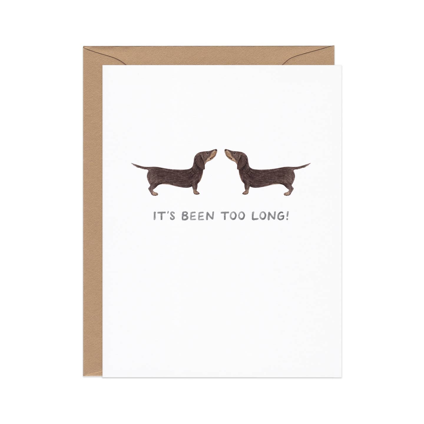 Greeting card with white background and image of two dachshunds and black text says, "It's been too long!". Kraft envelope included. 