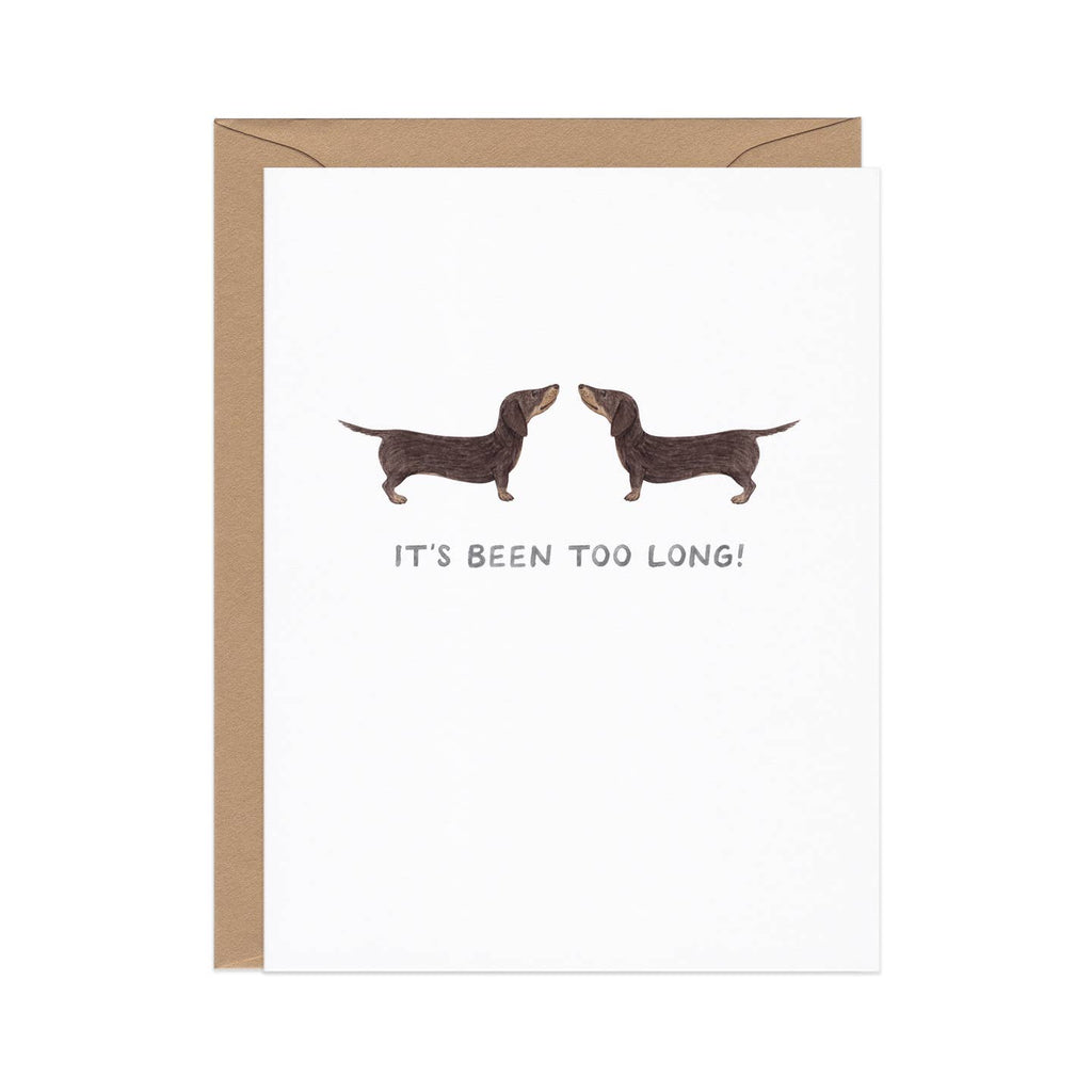 Greeting card with white background and image of two dachshunds and black text says, "It's been too long!". Kraft envelope included. 