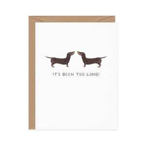 Greeting card with white background and image of two dachshunds and black text says, "It's been too long!". Kraft envelope included. 