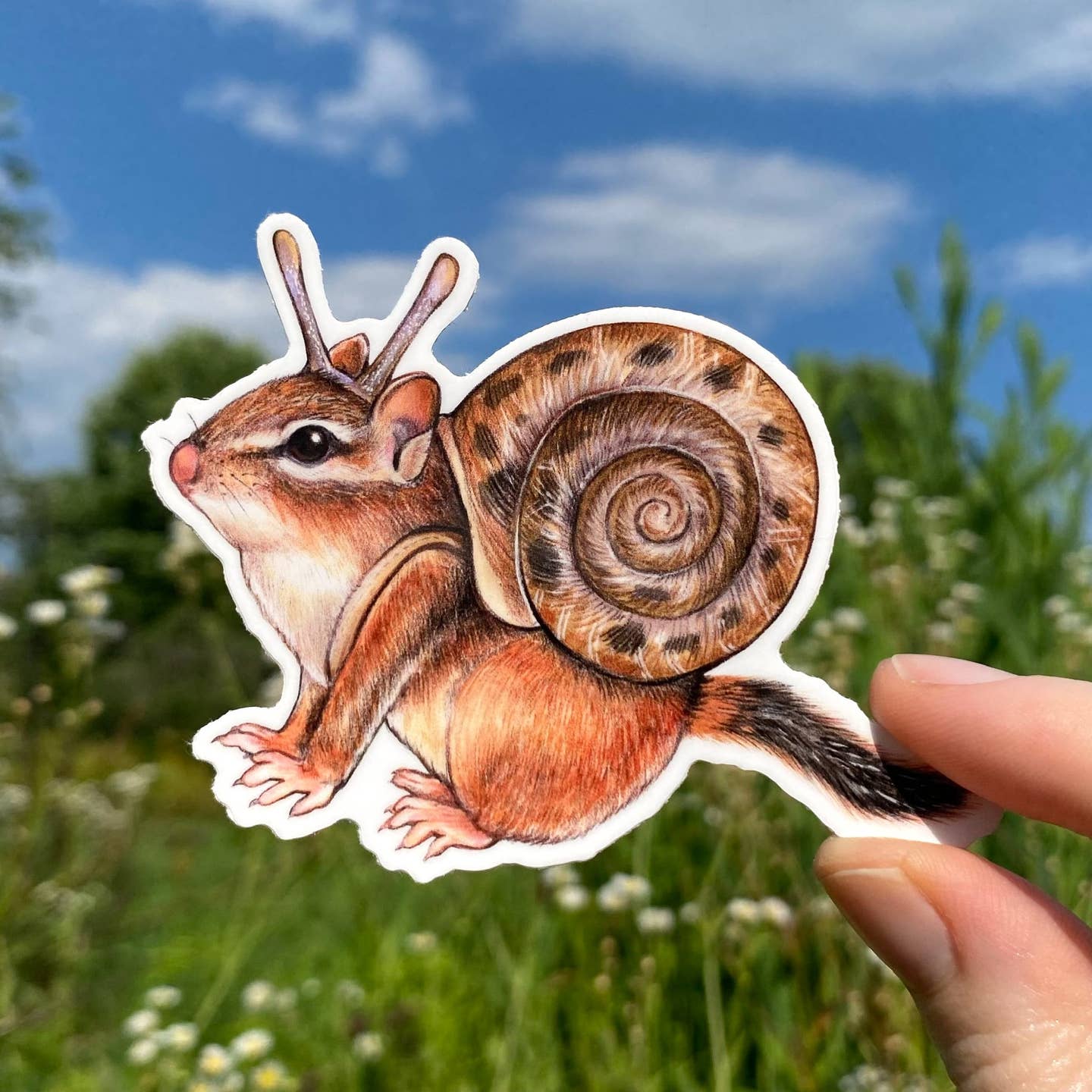 Chipmunk Snail Sticker