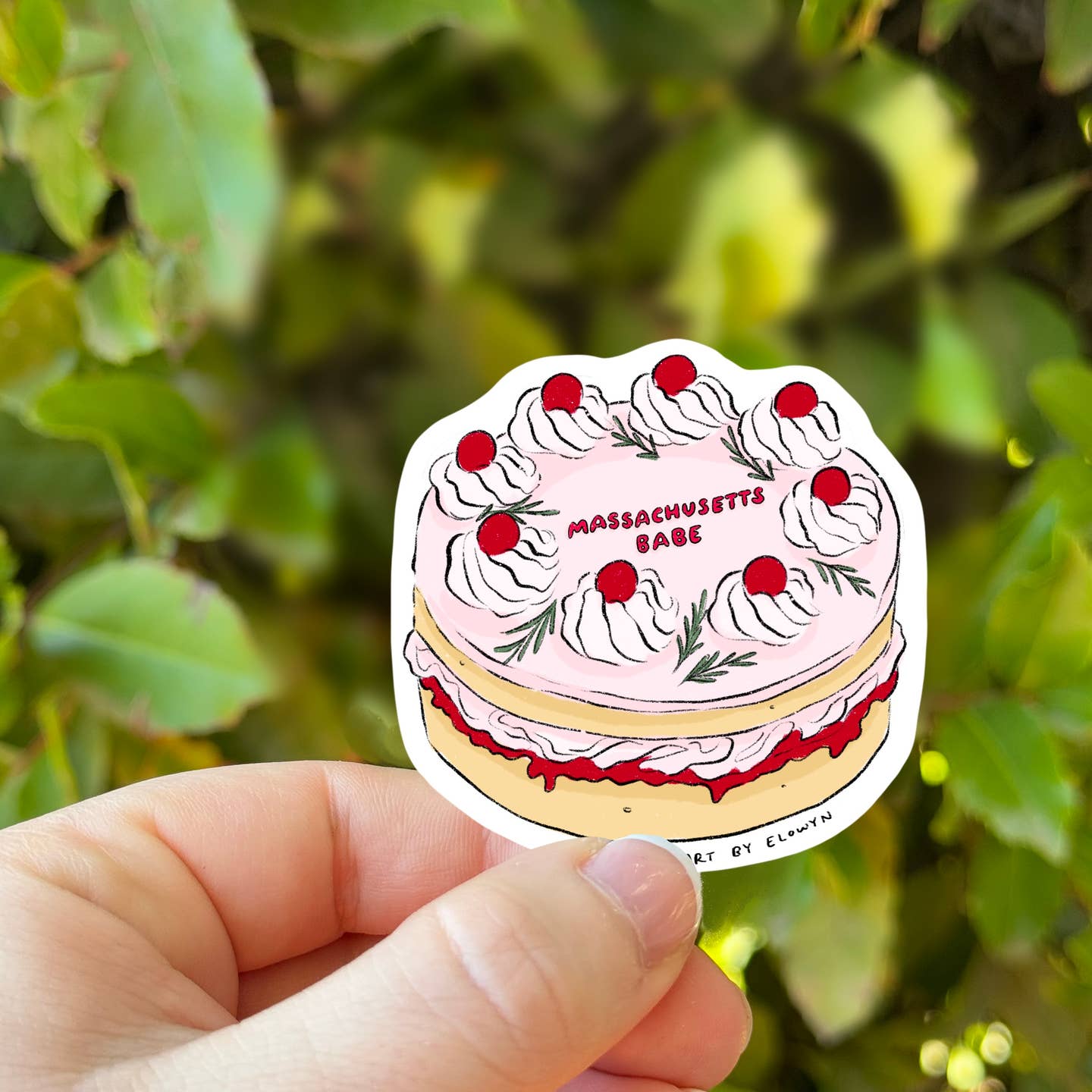 Decorative sticker in the shape of a cake with pink and white frosting and red cherries with red text says, "Massachusetts Babe". 