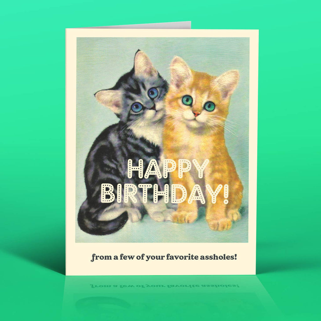 Pale blue background with image of yellow and grey cats with white text says, "Happy Birthday" and black text says, "from a few of your favorite assholes!". Envelope included. 