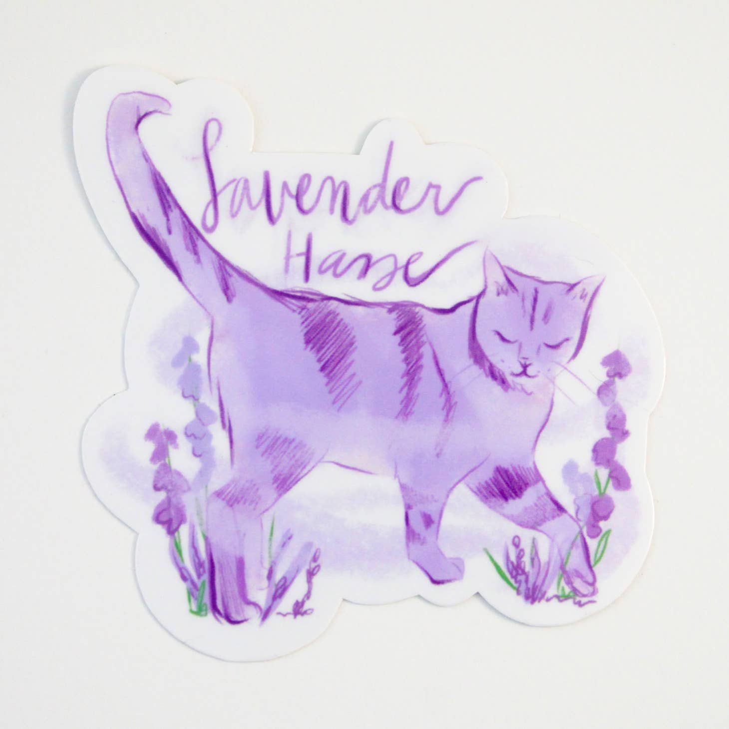 Image of lavender cat walking in a field of purple flowers and lavender text says, "Lavender haze". 