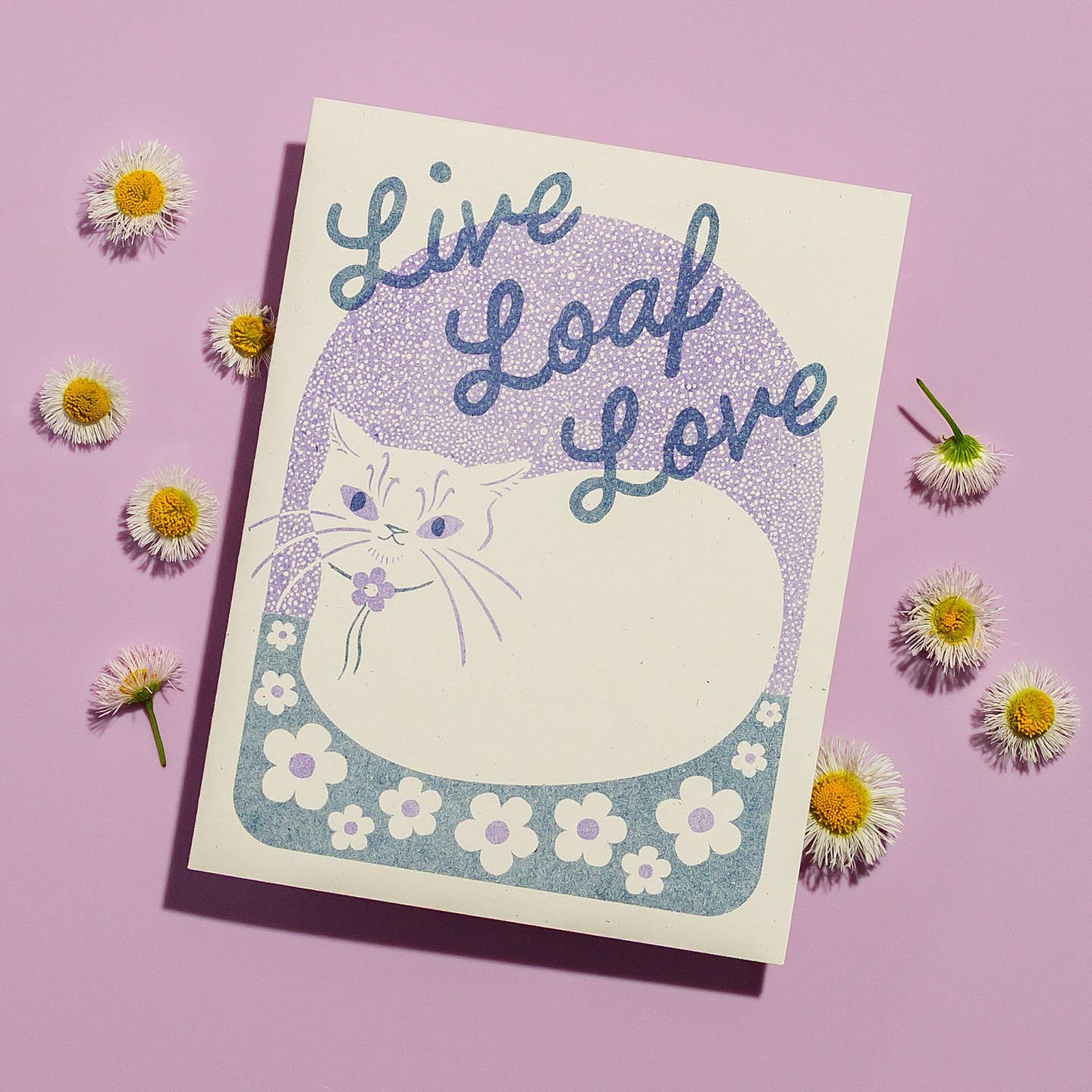 Greeting card with cream background and image of a cat in loaf position with blue text says, "Live loaf love". Envelope included.