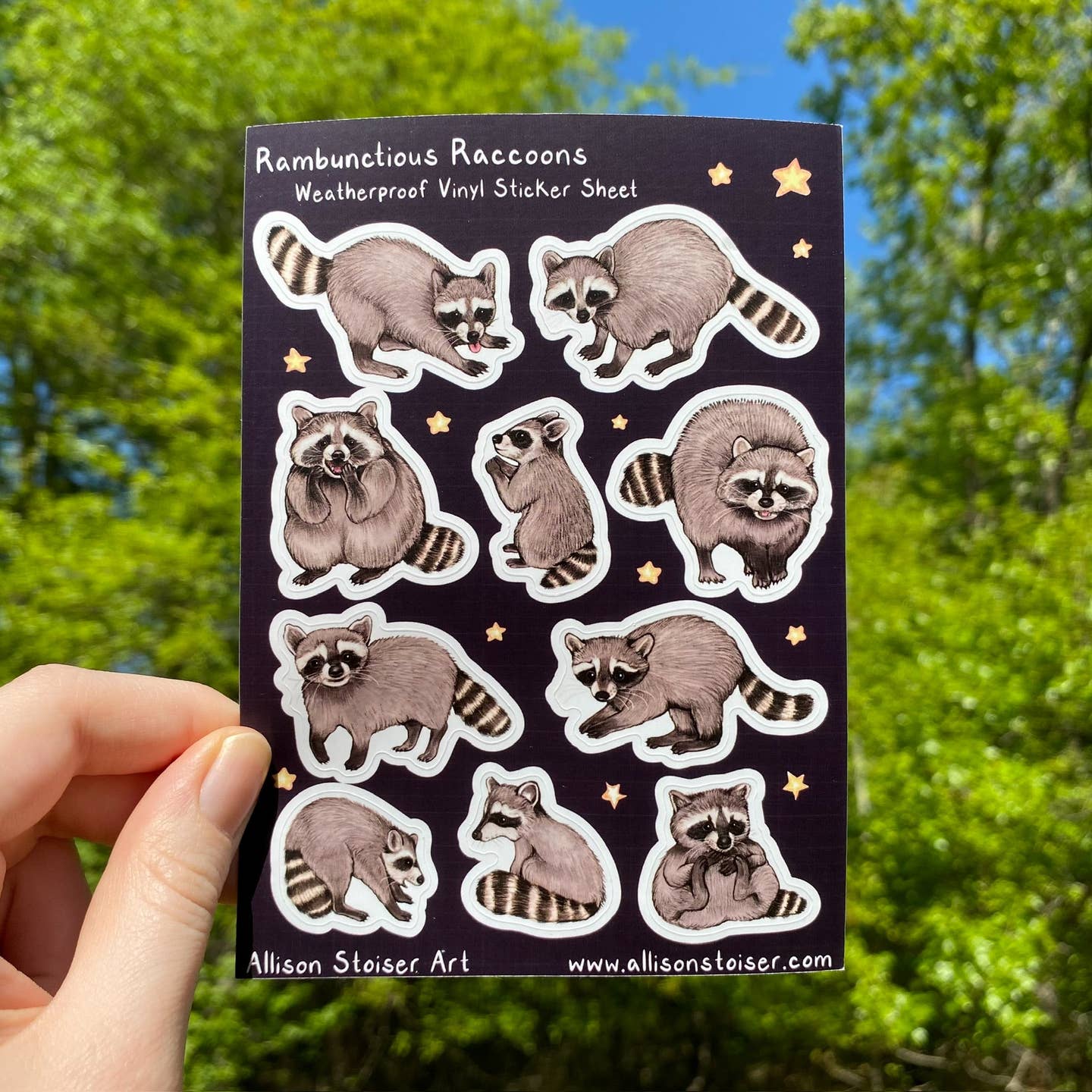Rambunctious Raccoons Sticker Sheet