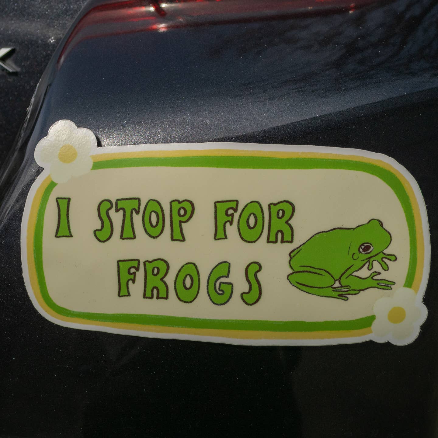 Decorative sticker with green background and image of frog with green text says, "I stop for frogs". 