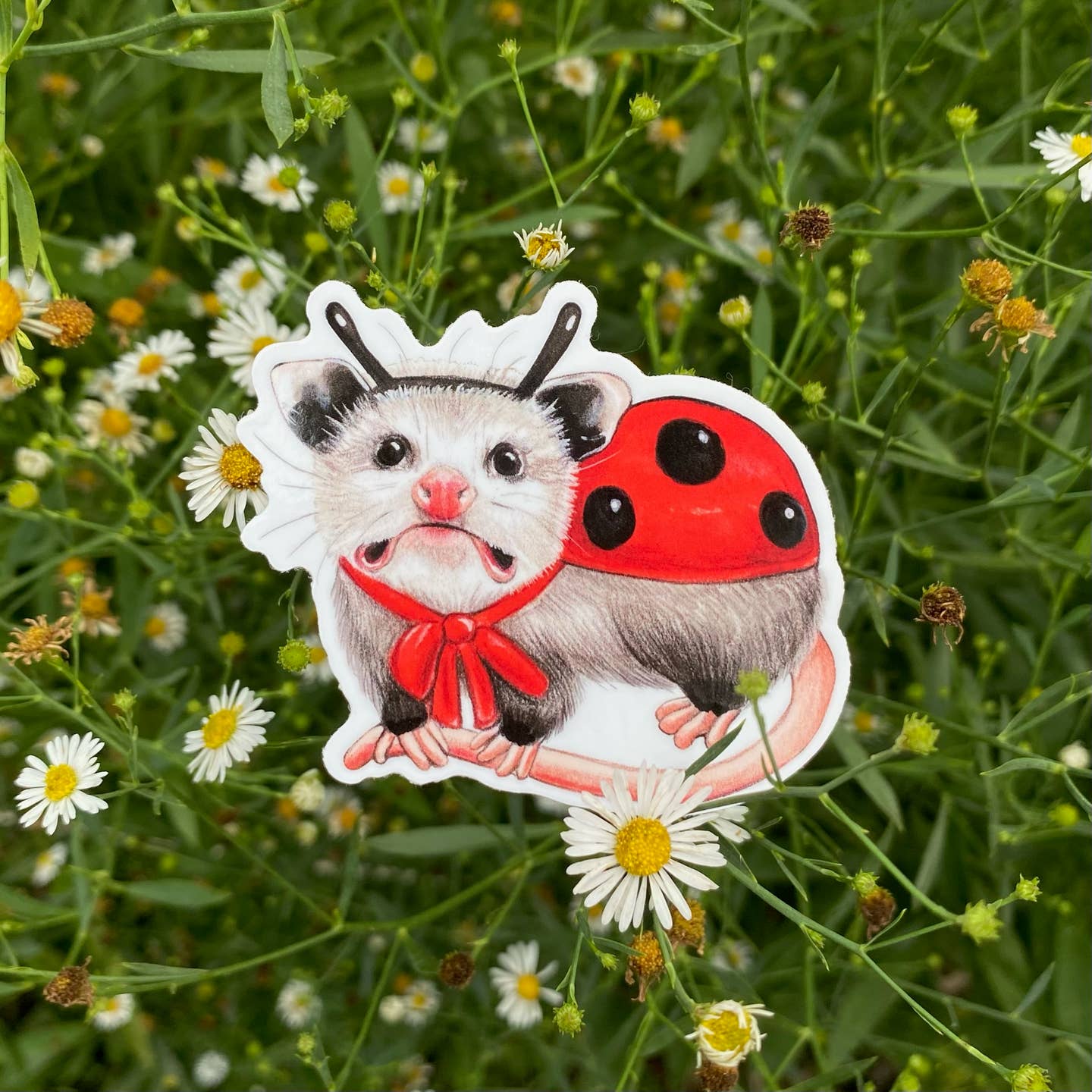 Opossum Ladybug Costume Sticker