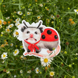 Opossum Ladybug Costume Sticker