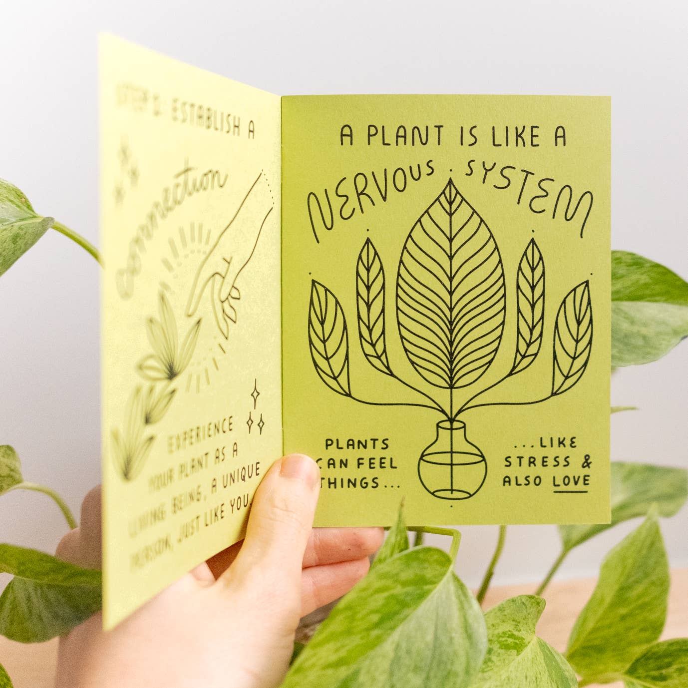 Image of page of zine with chartreuse background and black text says, "A plant is like a nervous system plants can feel things...like stress & also love" with image of houseplant in middle. 