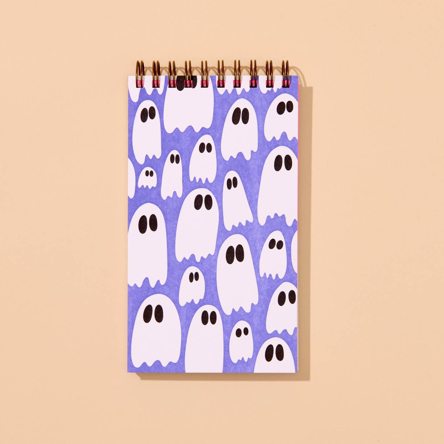 Ghost Spiral Notebook