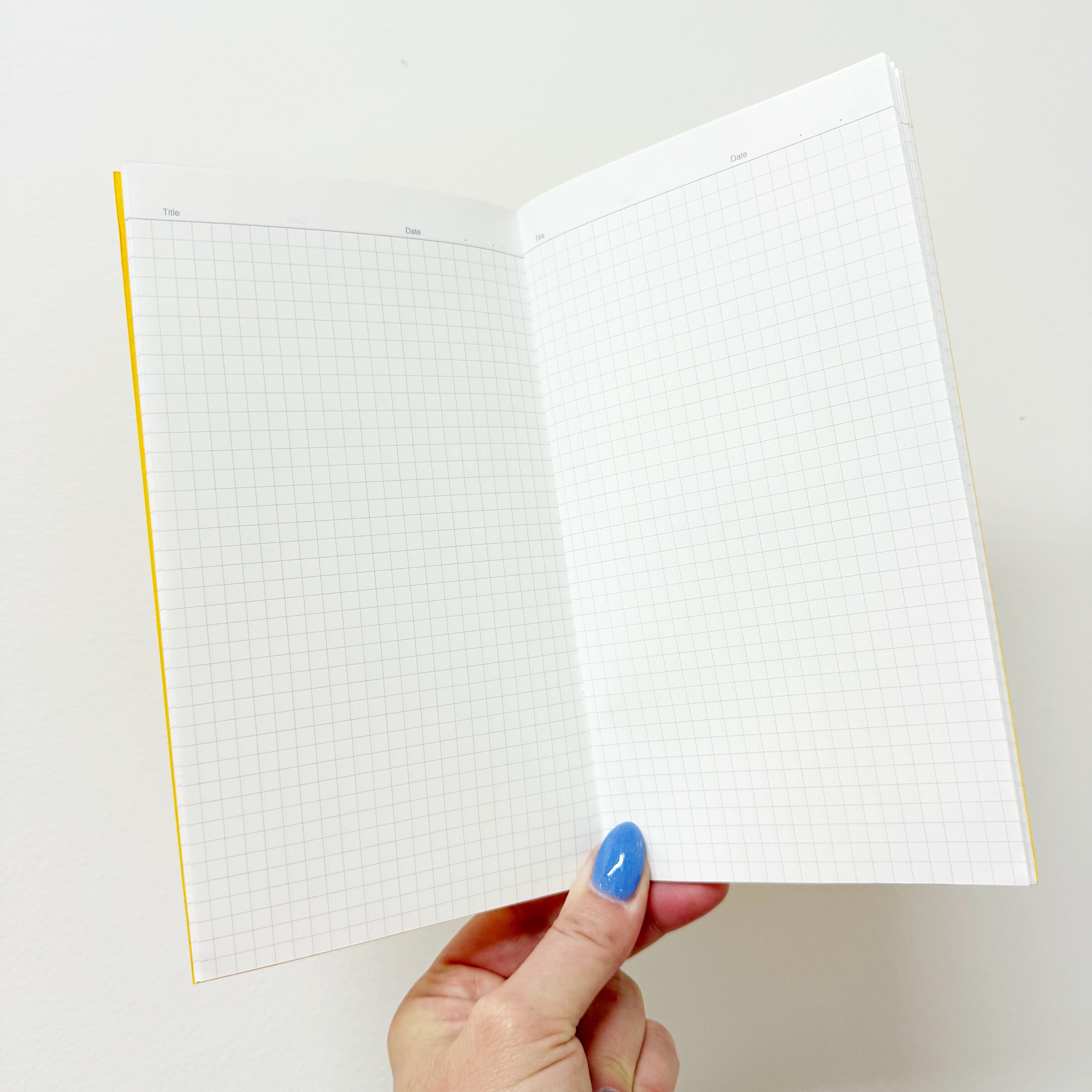 Luddite Graph Notebook