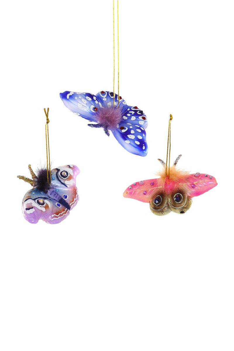 Image of three butterflies in lilac, blue and pink. 