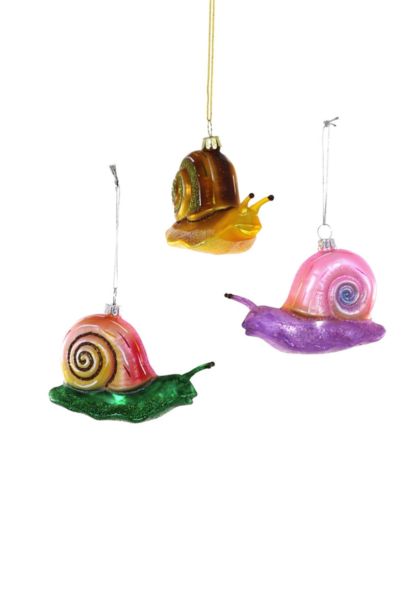 Images of three snails. One is green with pink shell, one is yellow with brown shell and purple with pink shell. 