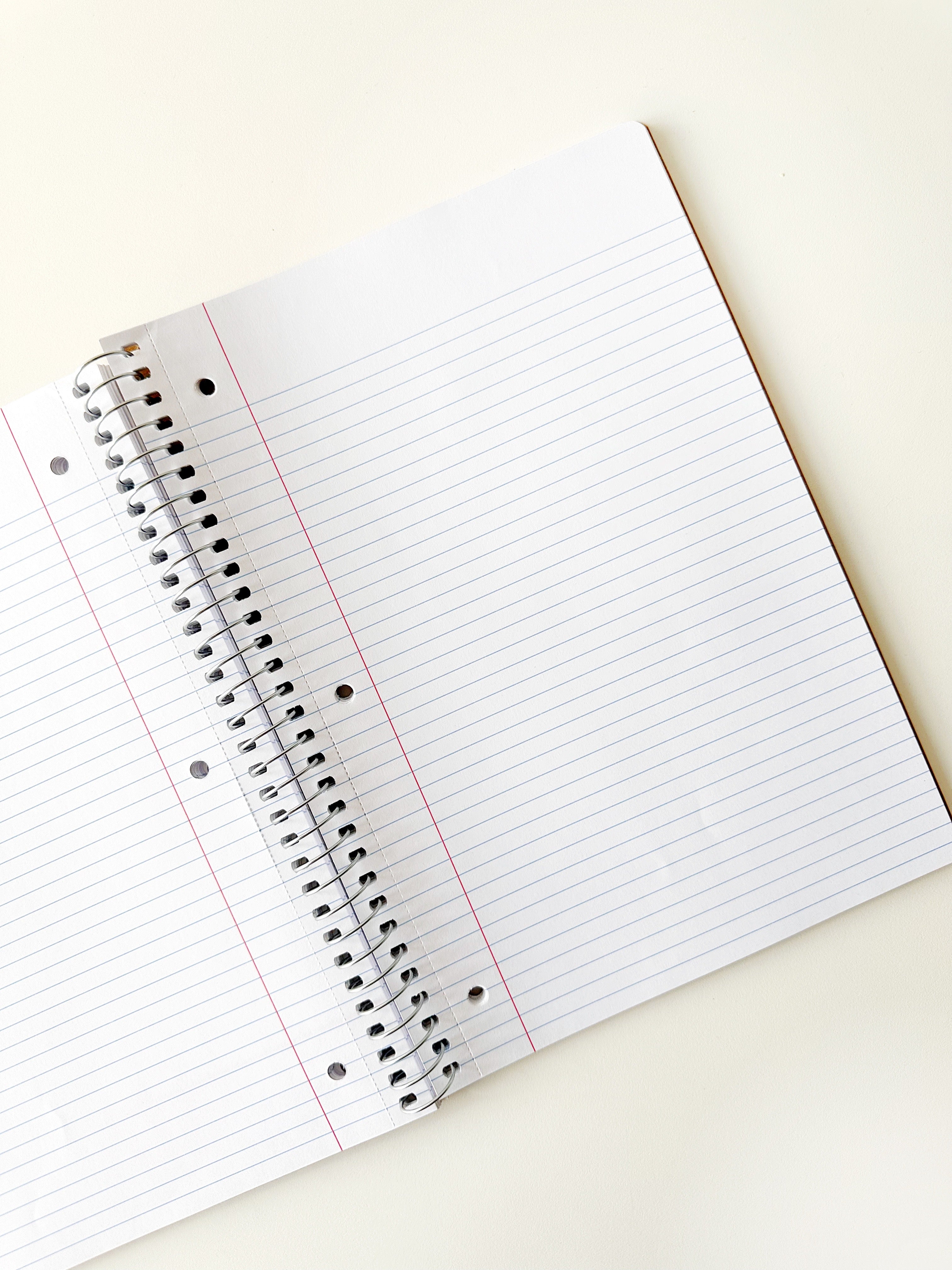 Spiral Notebook - Romy & Michele Check