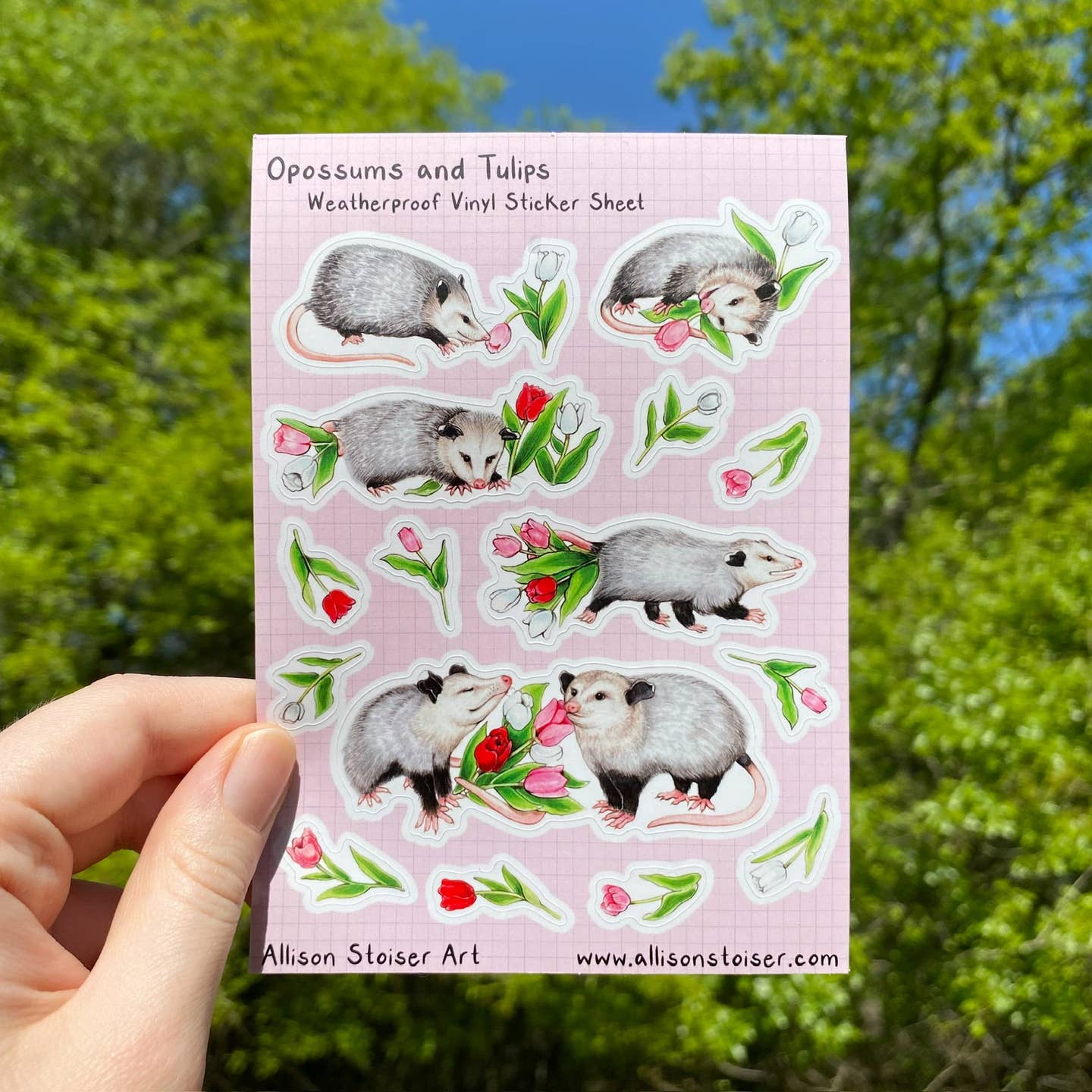 Opossums and Tulips Sticker Sheet