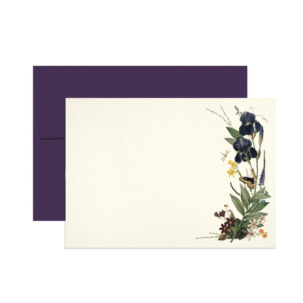 Notecard set with white background and images of black iris on right hand side of card with green leaves. Dark purple envelope included.