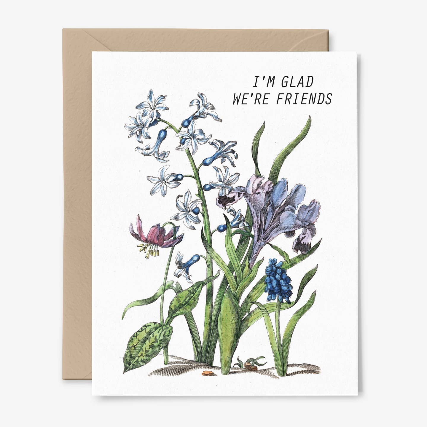 I'm Glad We're Friends Flowers Card
