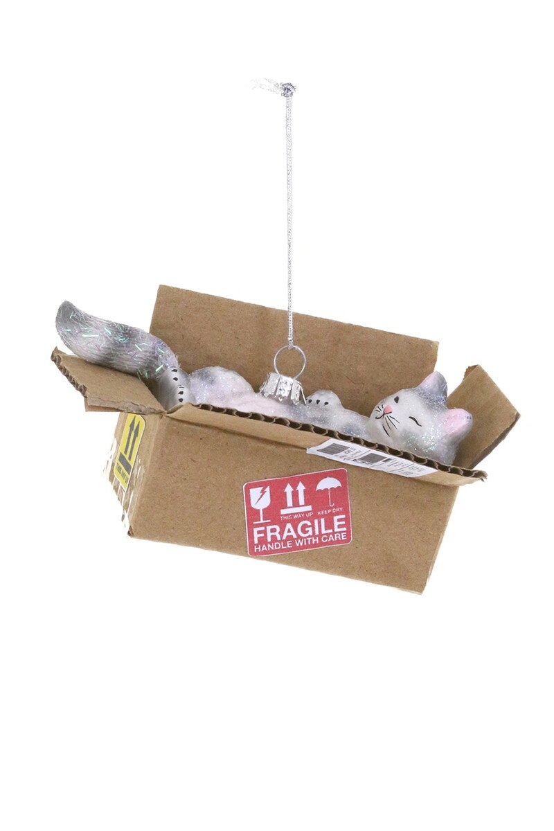 Cat in a Box Ornament
