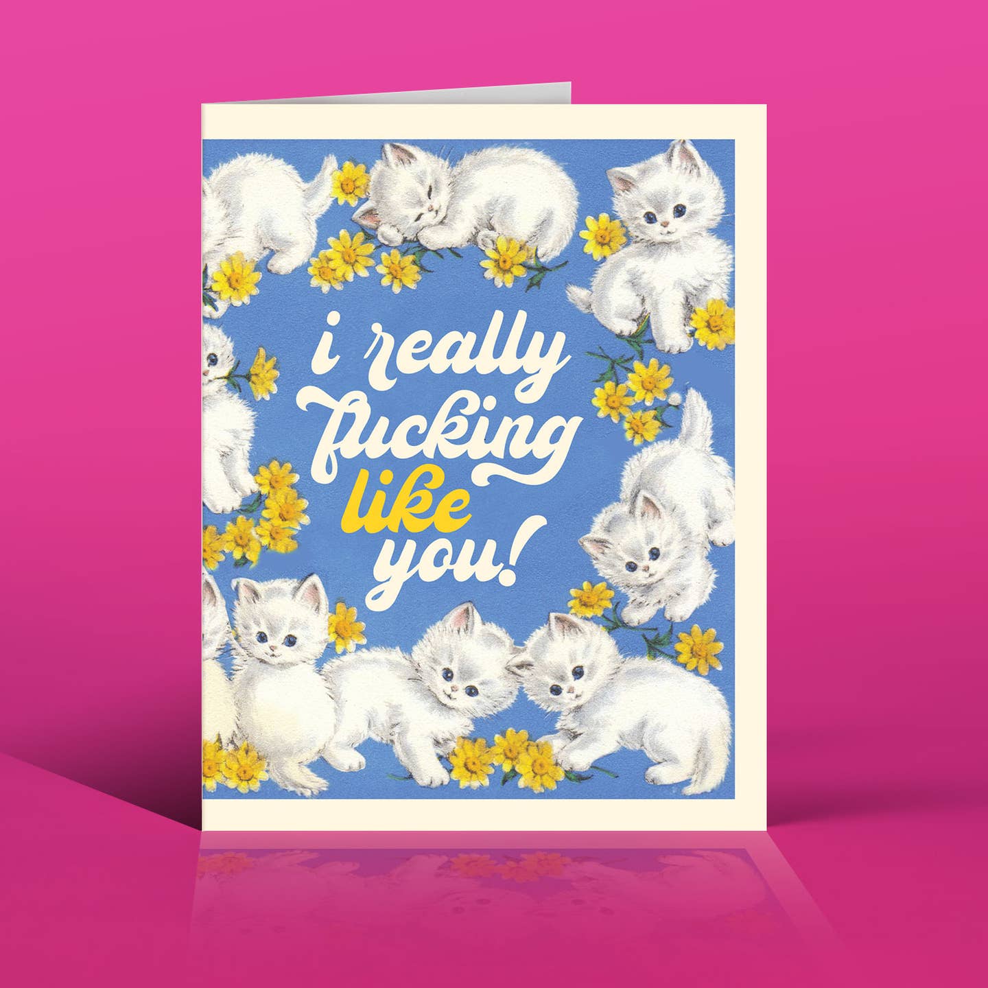 Greeting card with blue background and images of white kittens on the border with white text says, "I really fucking like you!" Envelope included.