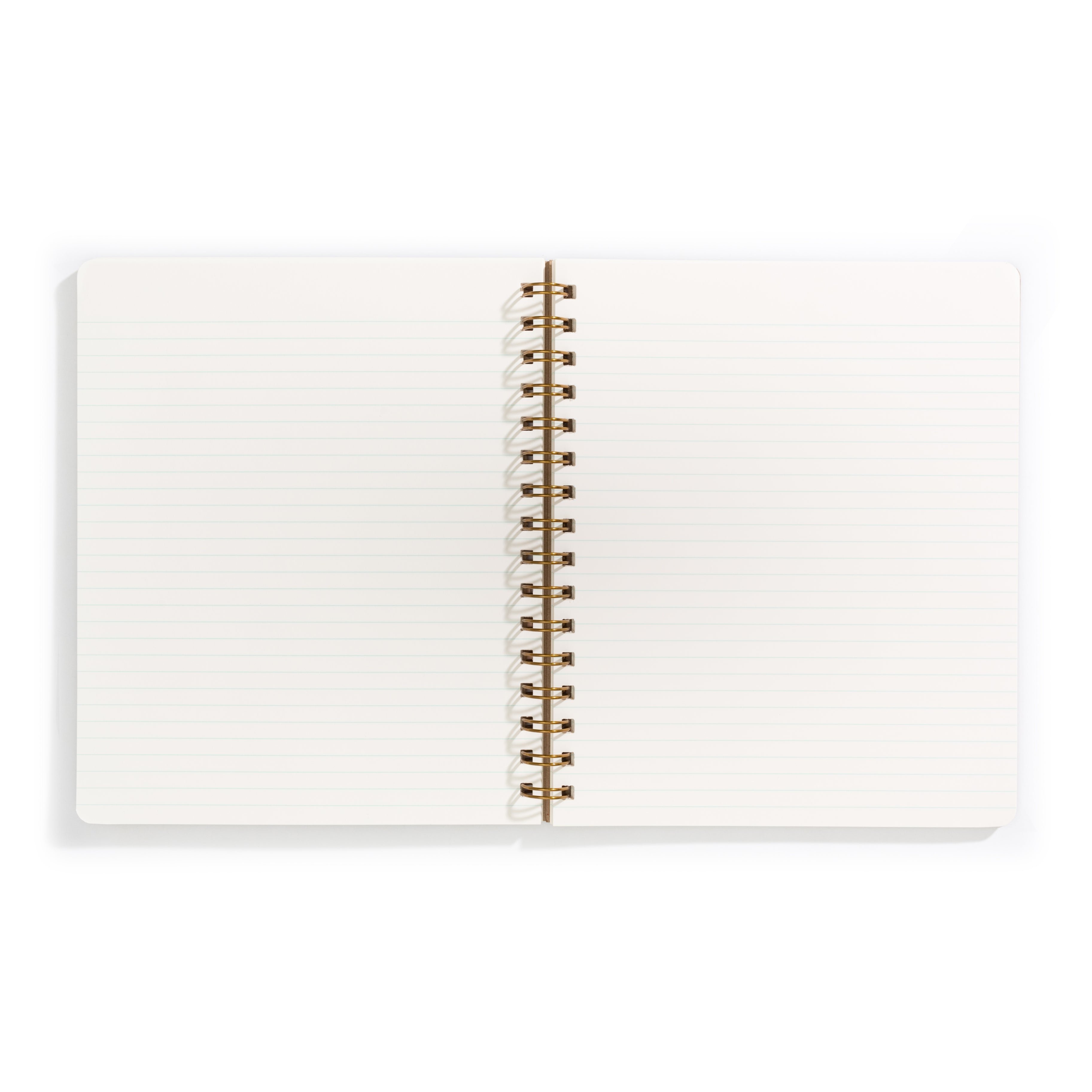Image of opened notebook with ivory background and  light blue lines. 