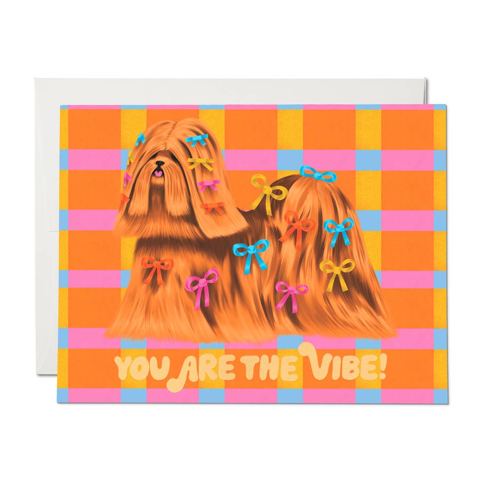 Plaid background in blue, orange, yellow and pink. Image of long haired dog in golden brown and tan with yellow, blue, orange and pink bows in their hair. Yellow text says, “You are the vibe!”. A white envelope is included.             