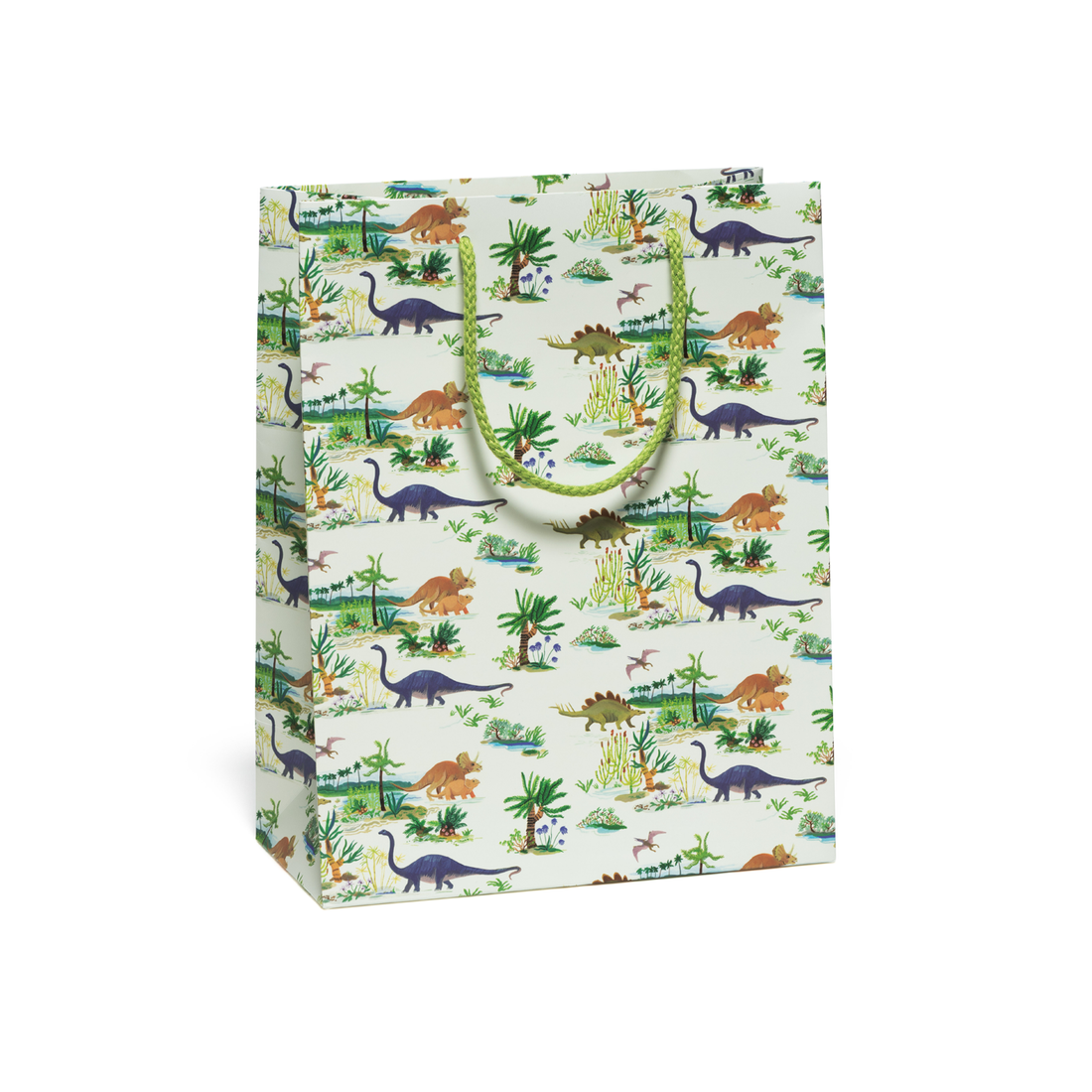 Image of gift bag with pale green background with images of dinosaurs in brown and grey with green cord handle. 