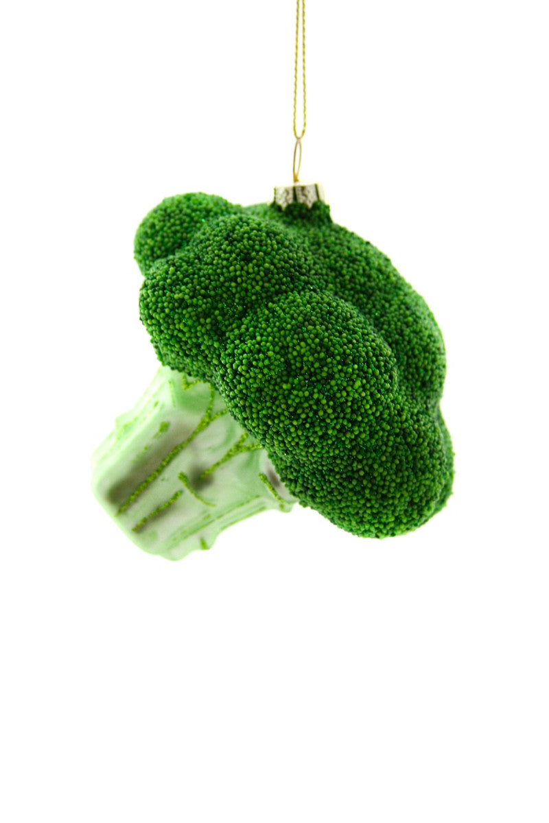 Image of a green bunch of broccoli.