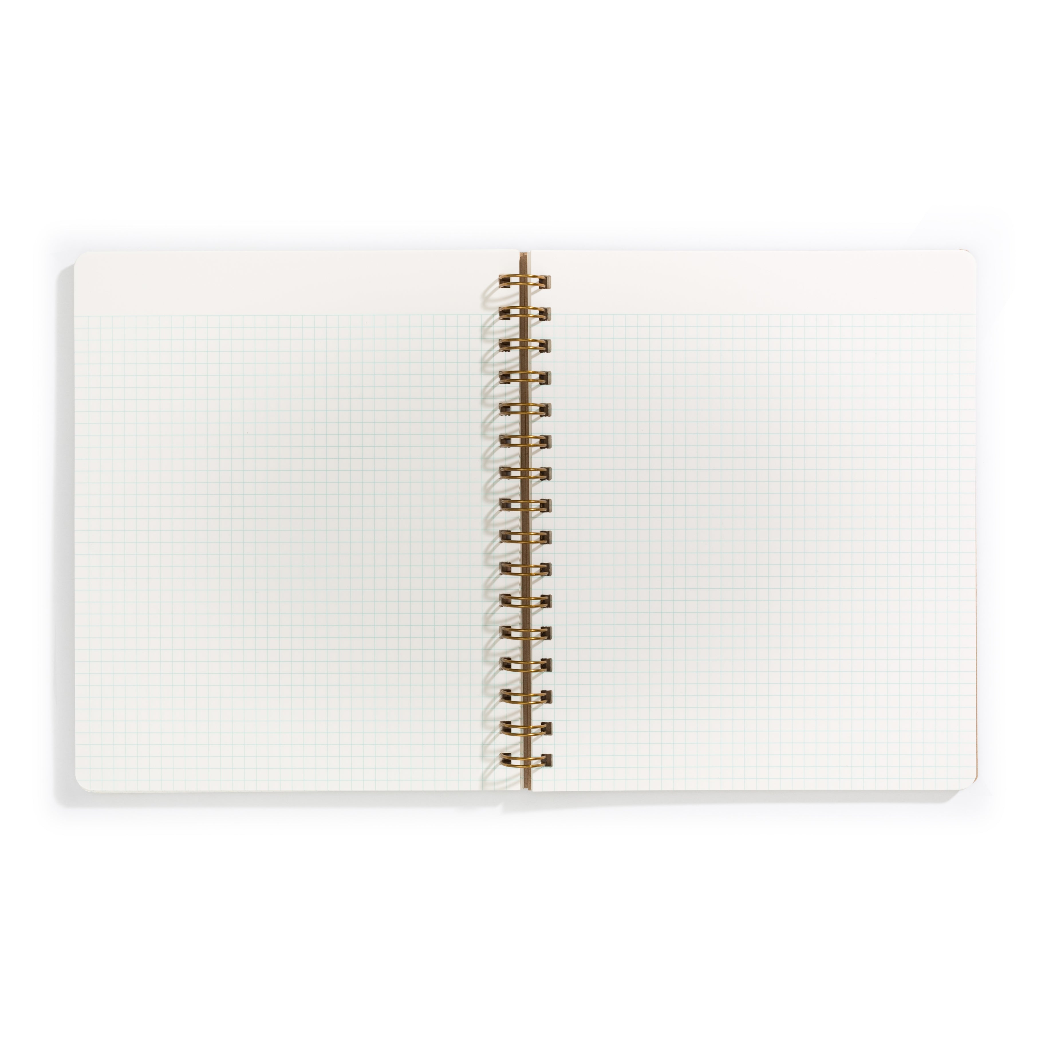 Image of opened notebook with ivory background and  light blue graph lines. 