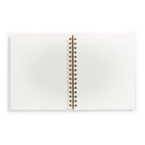 Image of opened notebook with ivory background and light blue and pink graph.